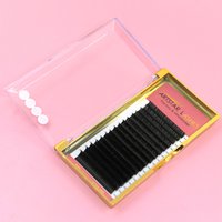 C/CC/D/DD 0.15 0.20mm Soft Natural Flat Ellipse Eyelash Extensions Classic Eyelash Extensions