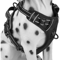 Breathable Soft Mesh Padded Luxury Adjustable Reversible No Pull Custom Reflective Free Sample Nylon Pet Dog Harness Leash Set