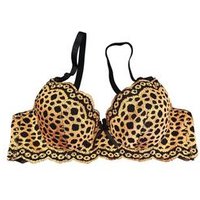 Leopard Print Bra Set