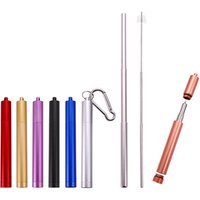 Reusable Folding Stainless Steel Straw Case