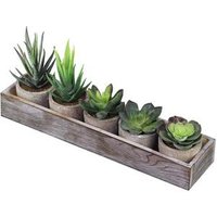 Artificial Mini Succulent & Cactus Plant Wood Planter