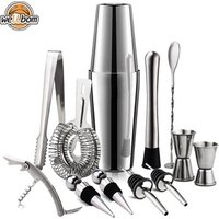 13 Piece Stainless Steel Cocktail Shaker Set