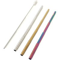 Collapsible Telescopic Stainless Steel Metal Straw