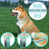 Pet Dog Anti Flea Ticks Mosquitoes Collar Summer Outdoor Walking Collar for Dog Cat Puppy Adjustable 8 Months Protective Collar