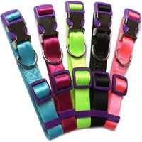 Waterproof USB Rechargeable LED Dog Collar or Leash