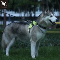 Amazon Top Selling LED Dog Harness No Pull Adjustable Pet Safe Vest Harness