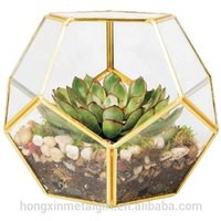 Round indoor hanging copper geometric glass plant terrarium wholesale