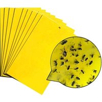 New Style Pest Control Outdoor Fly Trap Killer Device Plastic Fruit Fly Trap With Fly Bait
