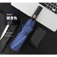 Shining Umbrella