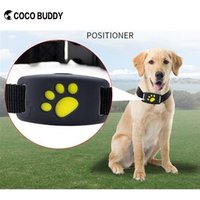 Reflective Nylon Webbing Dog Collar With GPS