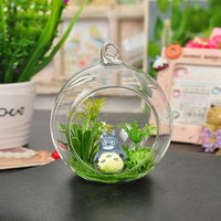 handmade Hanging glass terrarium wholesale home decor handicraft