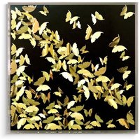 Acrylic Framed Golden Butterfly 3D Shadow Box Wall Art