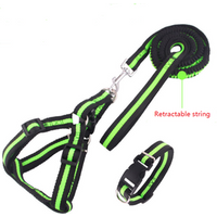 2019 hot selling factory wholesale custom logo printed Fabric Dog Collar And Leash Set