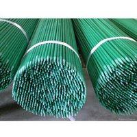 sturdy resistant corrosion fiberglass stick for plant support and climb