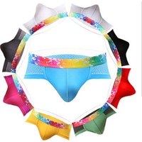 Low Waist Triangle Mesh Breathable Modal Underwear