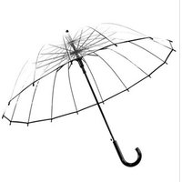 EVA Environmental 16 Ribs Semiautomatic Transparent Straight Umbrella