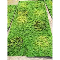 Artificial Peat Moss Mat Decorative Walls