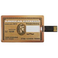 custom logo 32GB usb stick business card usb