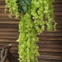 wedding party wall artificial wholesale artificial flowers silk wisteria tree flower wisteria