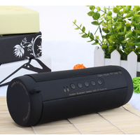 T2 Wireless IPX7 Waterproof Portable Bluetooth Speakers