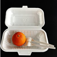 100% Disposable Biodegradable Compostable Forks Knives Spoons Cups Plates and Cutlery Set Tableware