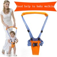 Harness & Walking Carrier Safety