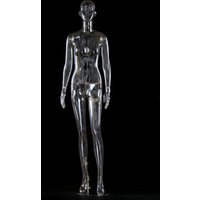 Transparent Female Mannequin Display Model