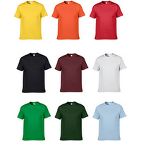 Polyester T Shirt