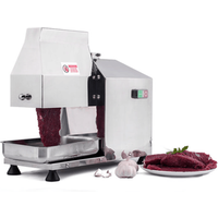 Electric Desk Top Stainless Steel Meat Tenderizer Machine for Kitchen