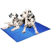 Re-useable self cooling dog cooling mat pet ice mat dog ice mat
