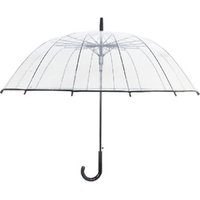 Ins Style 16 Rib Transparent Straight Umbrella Print