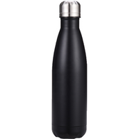 500ml Insulated Stainless Steel Water Bottle
