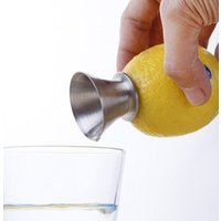 Stainless Steel Lemon Juicer
