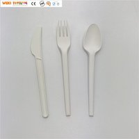 Biodegradable Compostable Disposable CPLA Cutlery