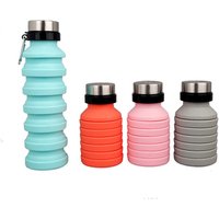Foldable BPA Free Sports Water Bottle Buckle