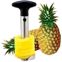 Easy Fruit Pineapple fruit tools Corer Slicer Peeler Parer Cutter Knife Slicer Machine exquisite