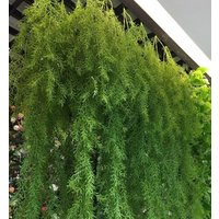 Wholesale greenery artificial wall hanging plants for flower wall