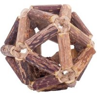 Heyri Pet Supplies Hot teaser matatabi stick fruit cat toys new kittens chew toys cleaning cats teeth healthy nature cat toys