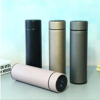Insulated Stainless Steel Smart Water Bottle