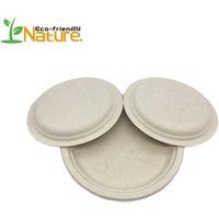 10 Inch Biodegradable Wheat Straw Round Disposable Plates