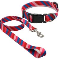 Customized Pattern Printed Pet Products Supplies Nylon Webbing Pet Neck Collar With Leash Set