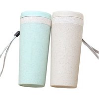 Custom logo Eco- friendly biodegradable wheat straw double wall wheat straw drinking water bottle tumbler with handle