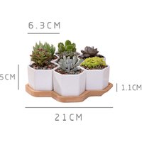 Mini Ceramic Succulent Pot Bamboo Tray