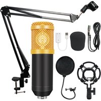 BM800 karaoke microphone studio condenser mikrofon KTV BM 800 mic For Radio Braodcasting Singing Recording computer bm-800