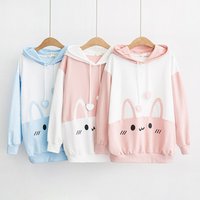 Harajuku Rabbit Ear Hoodie Students