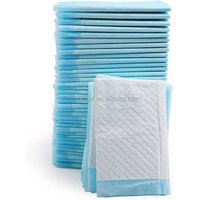 100 Count Quick Drying Pet Training Pads Super Absorption