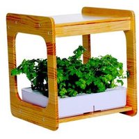 Smart Garden 12 Indoor Herb Gardening Kit (Includes Plant Capsules) with led grow light hydroponic