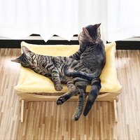 Removable Plywood Pet Hammock Bed