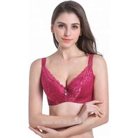 Plus Underwired Lace Bra