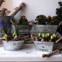 Vintage hyacinth metal pot iron garden flower pot